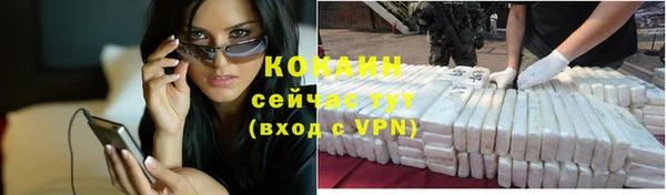 индика Лихославль