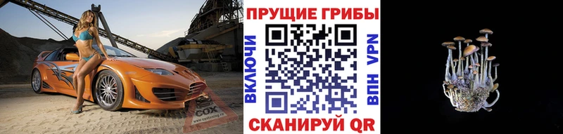 Псилоцибиновые грибы мицелий  Новоалександровск 