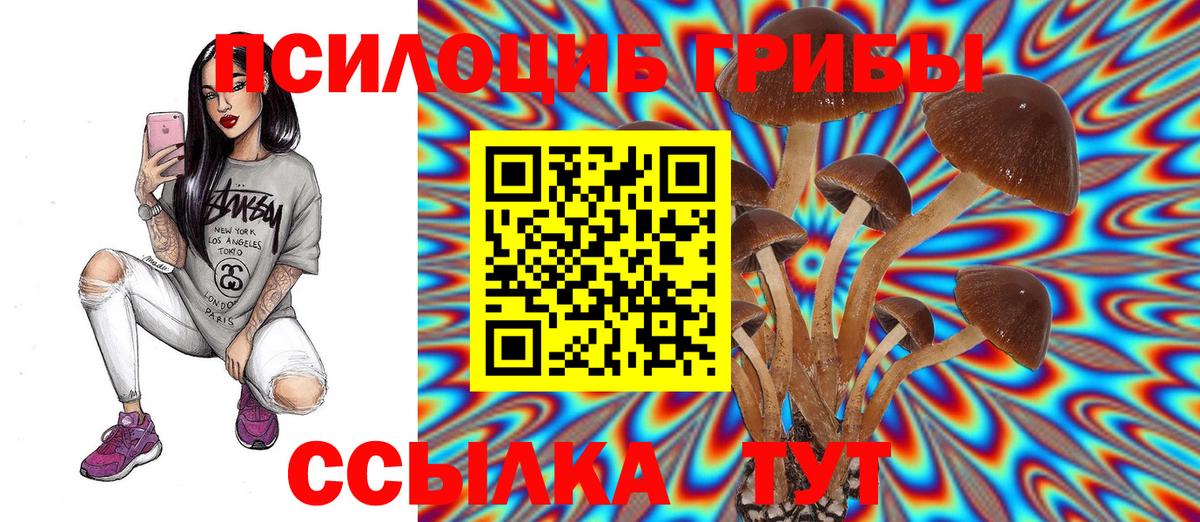 Псилоцибиновые грибы мухоморы  Вход с VPN  Новоалександровск 